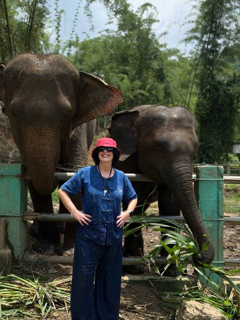       Person posing alongside two elephants.
  