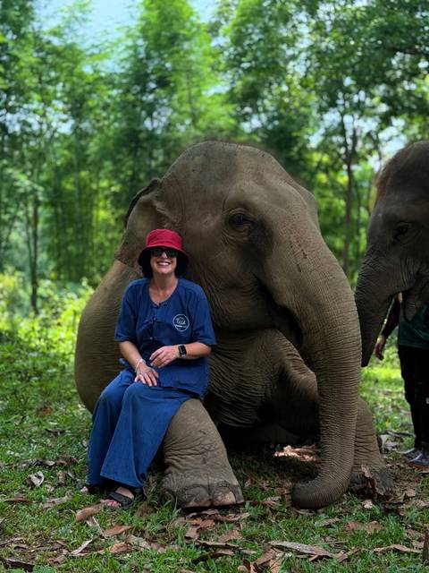       Person sitting beside a relaxed elephant.
  