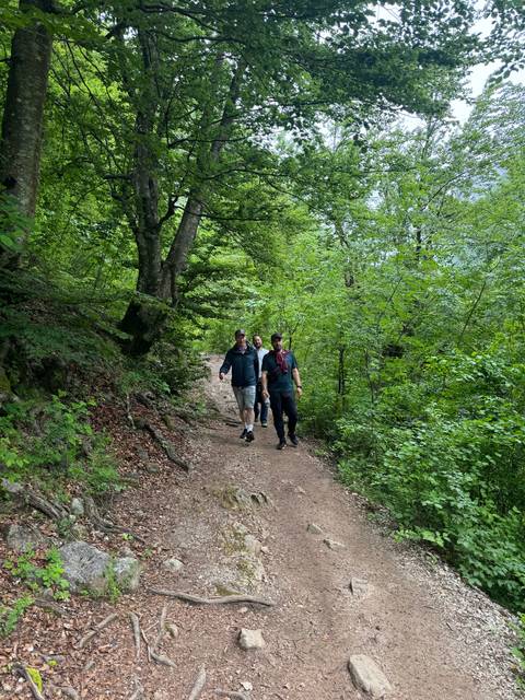Group of people hiking through a forested path.
