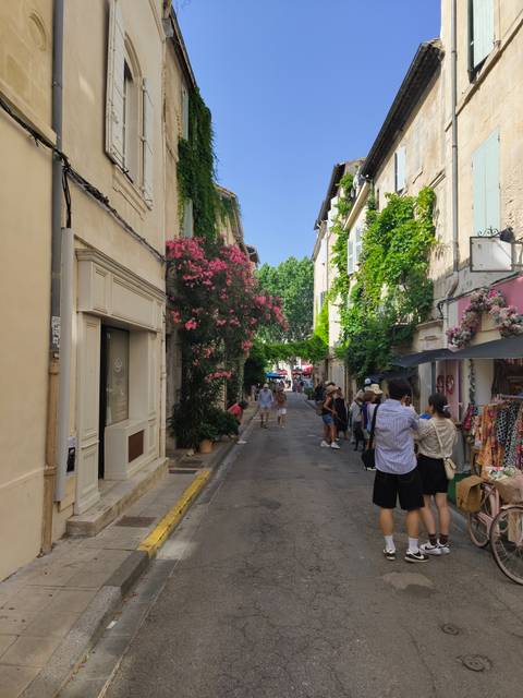 Charming narrow street lined with plants and shops.