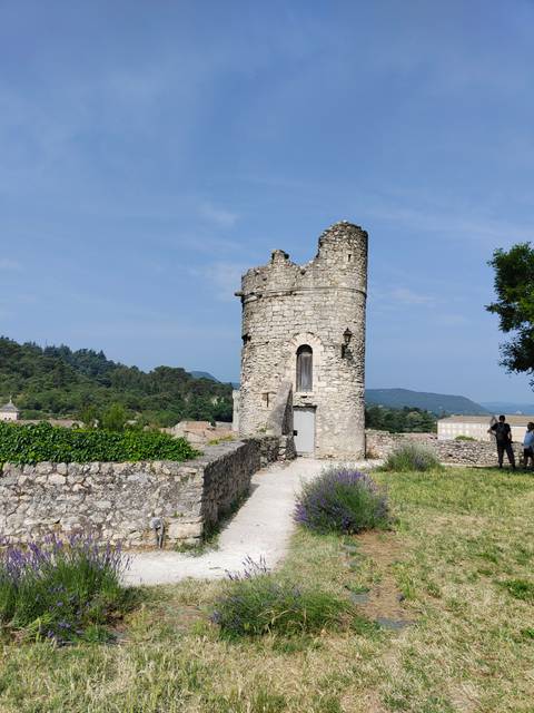       Stone tower ruin in a verdant landscape with lavender.
  