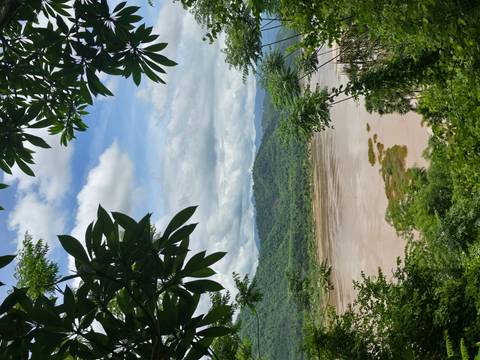       Scenic view of a river surrounded by mountains and trees.
  