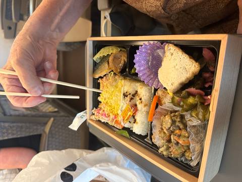       A person eating from a traditional Japanese bento box on a train.
  
