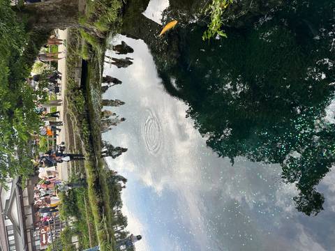       Reflective pond with people walking in a park.
  