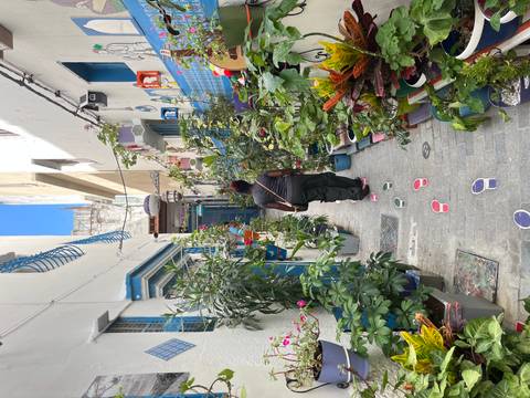 Narrow alleyway with plants and colorful decor, person walking.