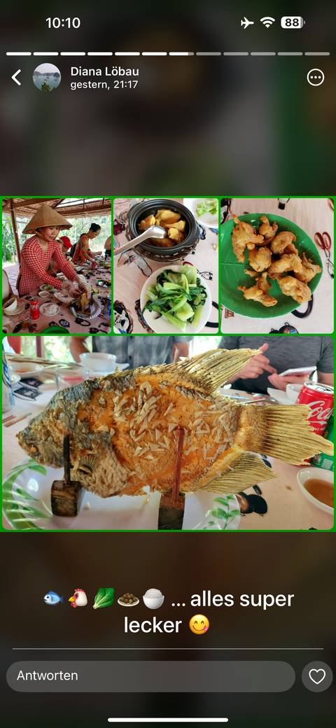       Display of a variety of traditional dishes on a table.
  
