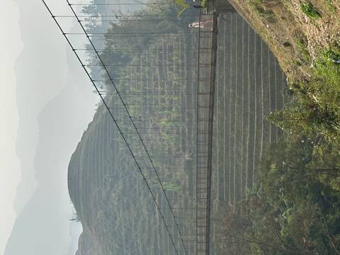       Suspension bridge against terraced hills.
  