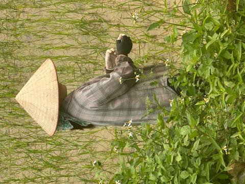       Person working in a rice field wearing a traditional hat.
  