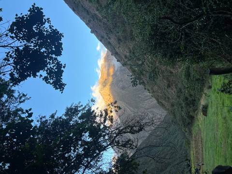 Sunlit mountain seen through trees and valley.