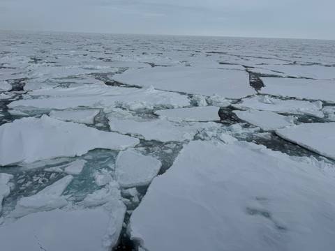       Pack ice floating on the ocean surface.
  
