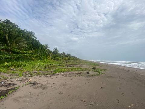 A deserted beach with overcast skies and lush vegetation.