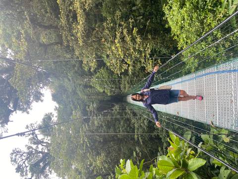A person walking on a hanging bridge in a lush forest.