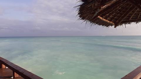       A calm ocean view with a thatched roof structure.
  