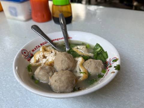       A bowl of soup with meatballs and herbs.
  