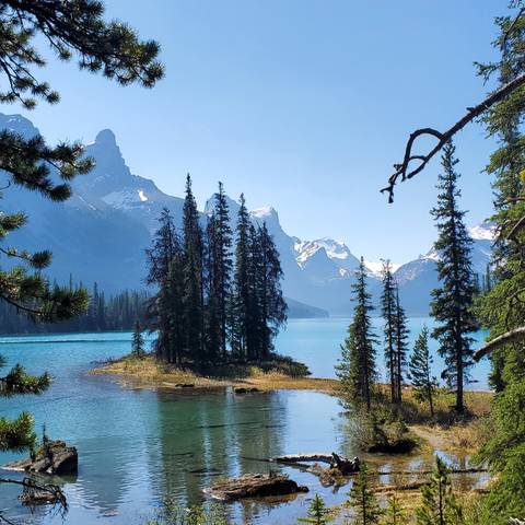 Serene lake reflecting mountains with trees in the foreground.