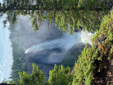       Waterfall cascading from a high cliff surrounded by greenery.
  