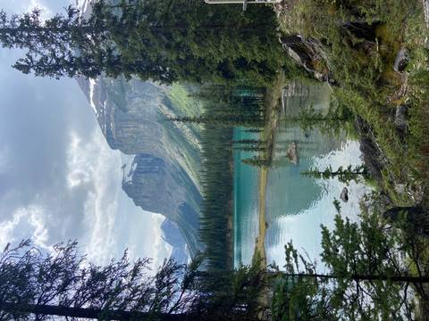       Scenic view of a lake with mountains and dense forest.
  