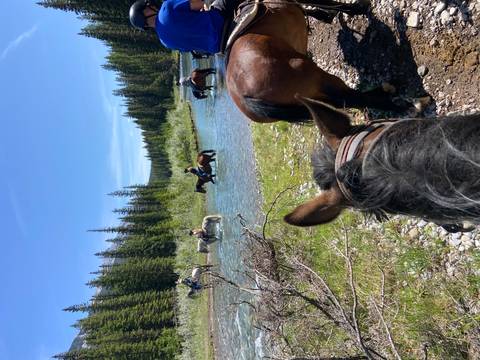       People on horseback crossing a shallow river in a forest.
  