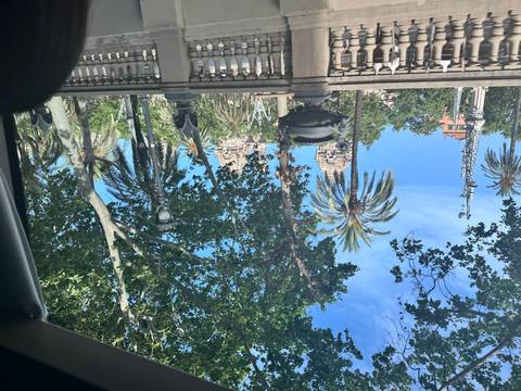       Trees with buildings in the background.
  