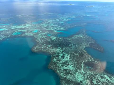 Aerial view of a vibrant coral reef.