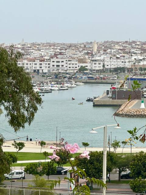       A marina with boats and buildings in the background.
  