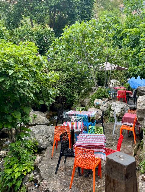 Brightly colored outdoor seating area with vegetation.