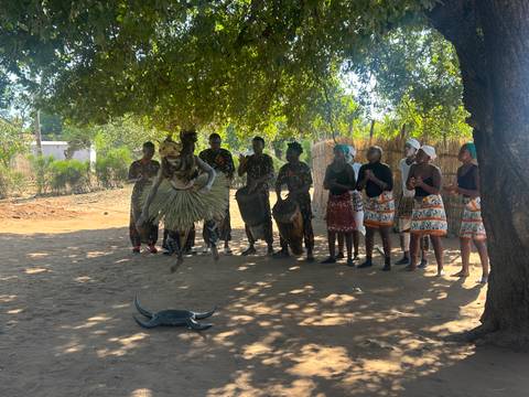 Traditional dancers performing under a tree with audience.