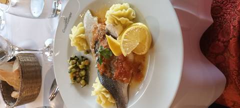 Plated fish entree with mashed potatoes and lemon.