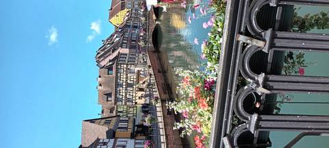       Colorful buildings along a canal with flowers in the foreground.
  