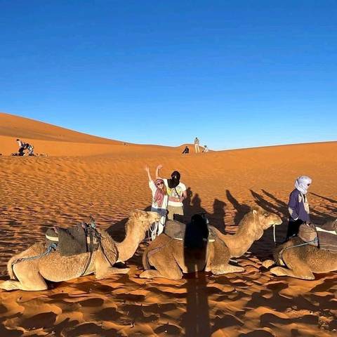       Person pushing a cart in a narrow alley.
  