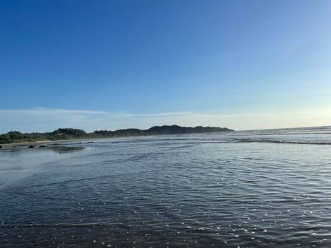 A serene beach scene with gentle waves lapping at the shore.