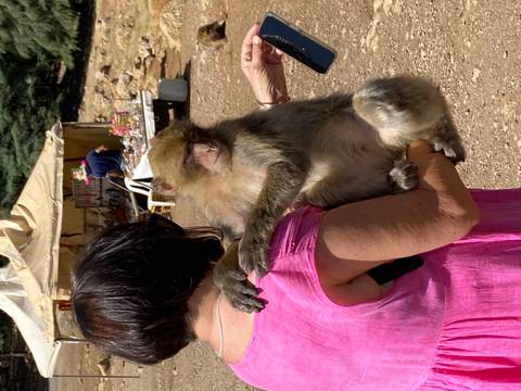 A person holding a monkey with market stalls in the background.