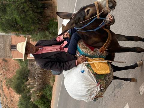 A man on a donkey with a traditional village backdrop.