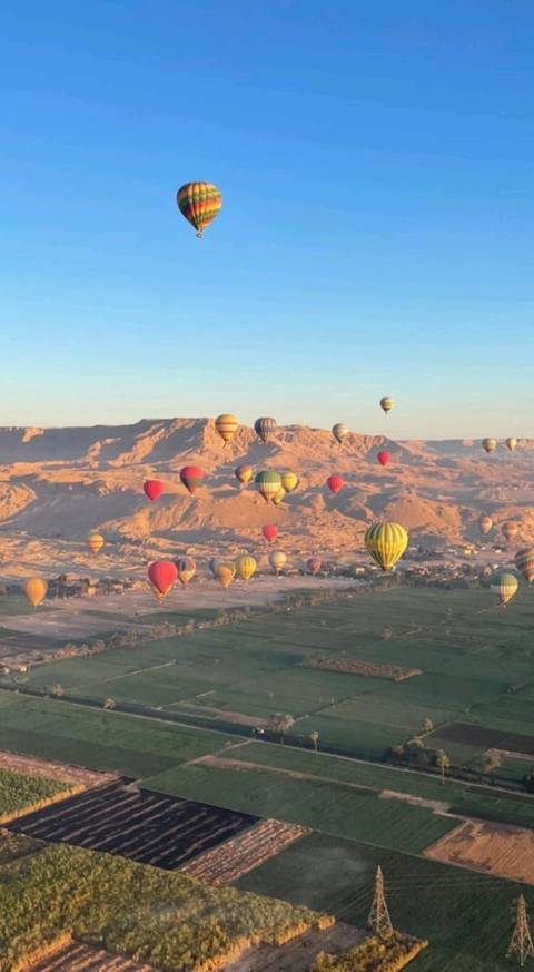 Klantbeoordelingsfoto van 10 Daagse Egypte Rondreis Caïro, Luxor, Aswan & Rode Zee Hurghada 