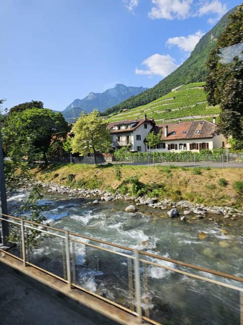 Scenic landscape with a stream, houses, and vineyards on a hill slope.