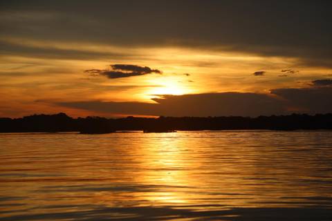 Beautiful sunset over a calm body of water with silhouetted trees.