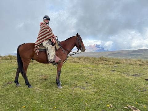       Person riding a horse with a mountain backdrop.
  
