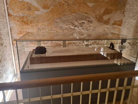 Mummified animal or human remains in a glass case.