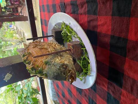       Plate with a whole fried fish served on a red checkered tablecloth.
  
