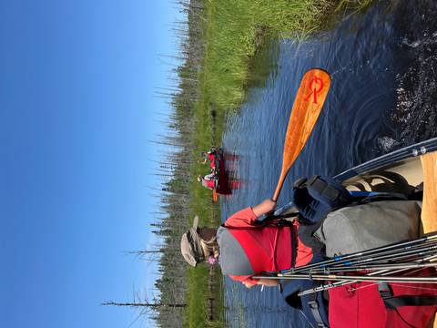 People canoeing on a narrow waterway surrounded by forest.