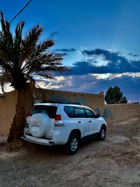 Car parked next to a palm tree with mountains in the background.