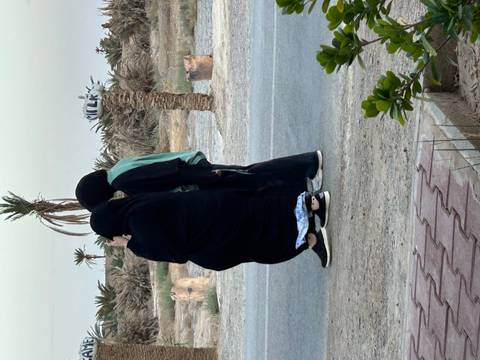       Two people walking on a road near a palm tree.
  