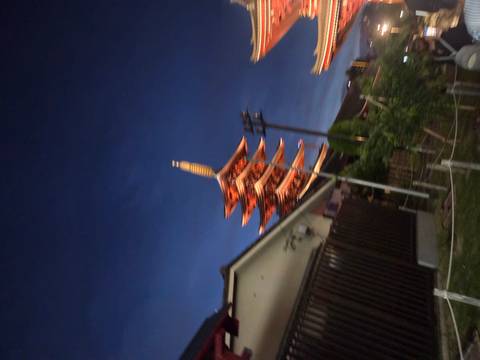 Blurry image of a pagoda at night.