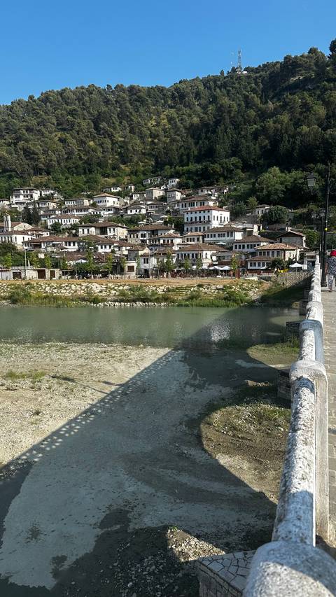       Houses on a hillside by a river, with a stone bridge in the foreground.
  