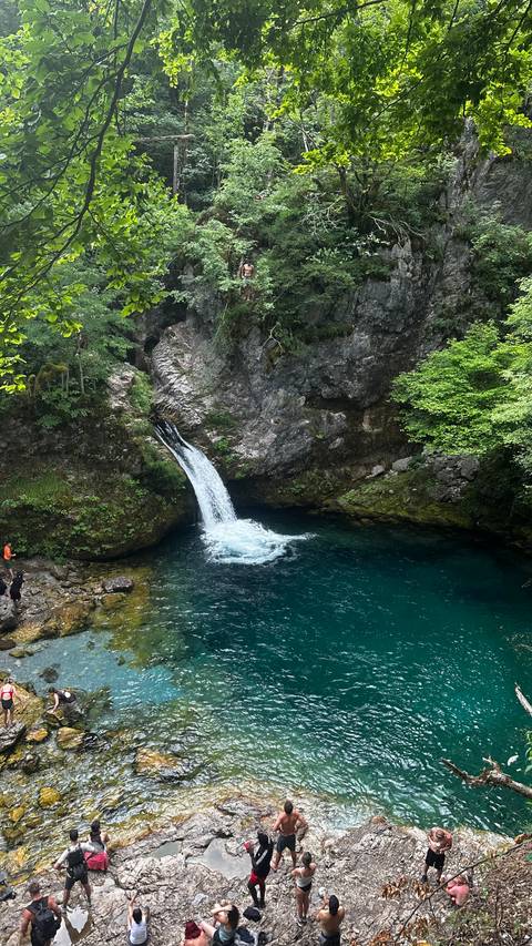       Small waterfall flowing into a pool surrounded by lush greenery.
  