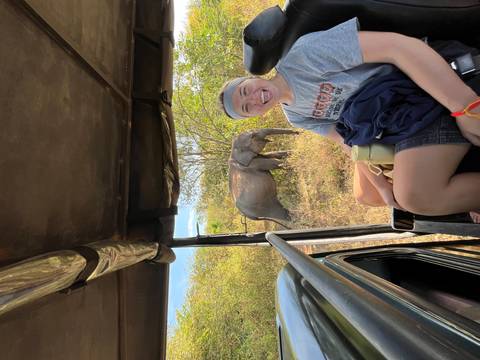 A person sitting in a vehicle with an elephant in the background.