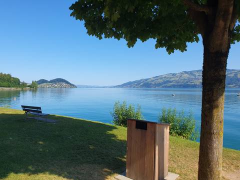 A peaceful lake view with a seating bench and trees.