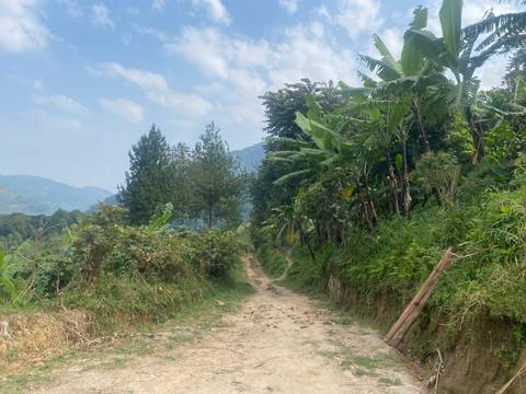 Dirt path through a lush green landscape with mountains in the background.