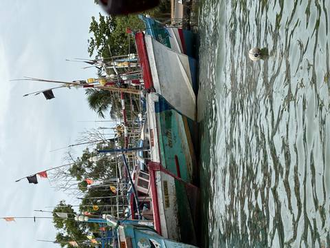       Fishing boats docked at a harbor.
  