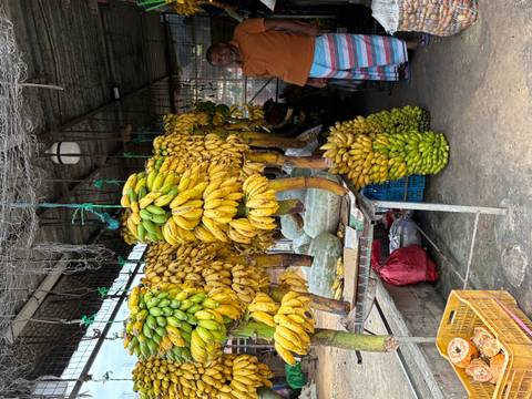 A fruit market stall displaying various bananas with a vendor looking on.